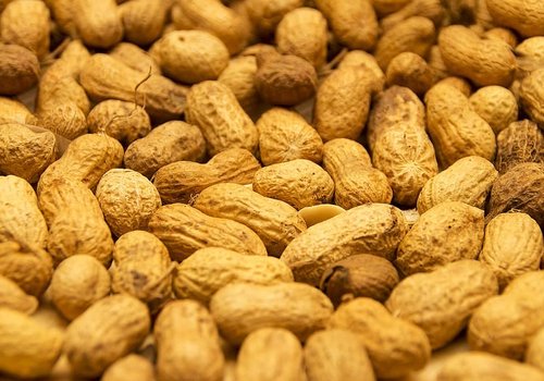 Новое исследование дает надежду людям, страдающим аллергией на арахис